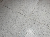 Aci-Flooring-Concrete-Terrazzo-Flooring-Project-3-6332